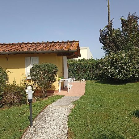 Piscina Privata Tiger Home, Toscana Capannori Bagian luar foto