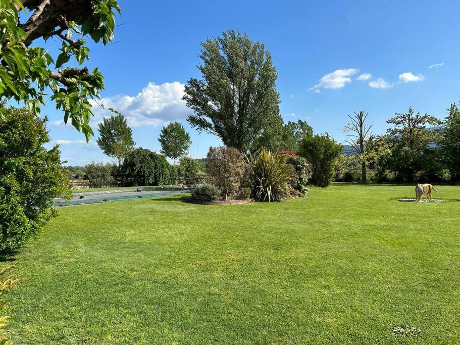 Piscina Privata Tiger Home, Toscana Capannori Bagian luar foto